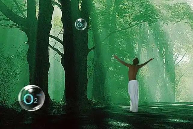 灵寿负离子粉涂料功能美容产品